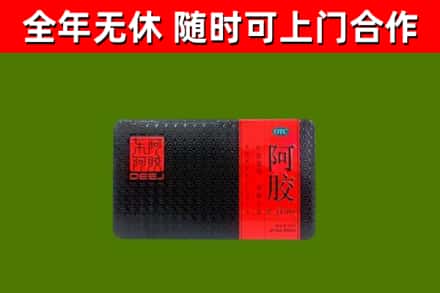珠山区回收阿胶