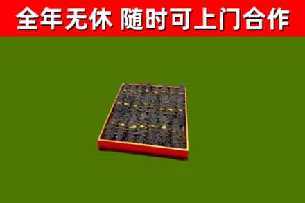 珠山区回收海参
